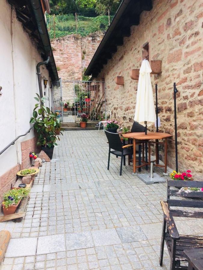 Neckarblick,Natur, Altstadt Hirschhorn Exterior foto