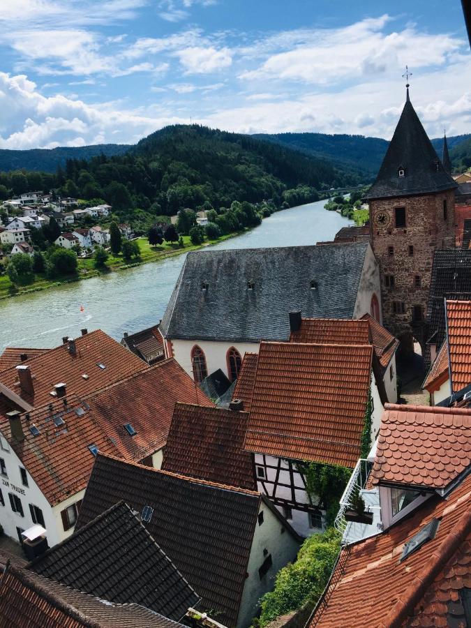 Neckarblick,Natur, Altstadt Hirschhorn Exterior foto