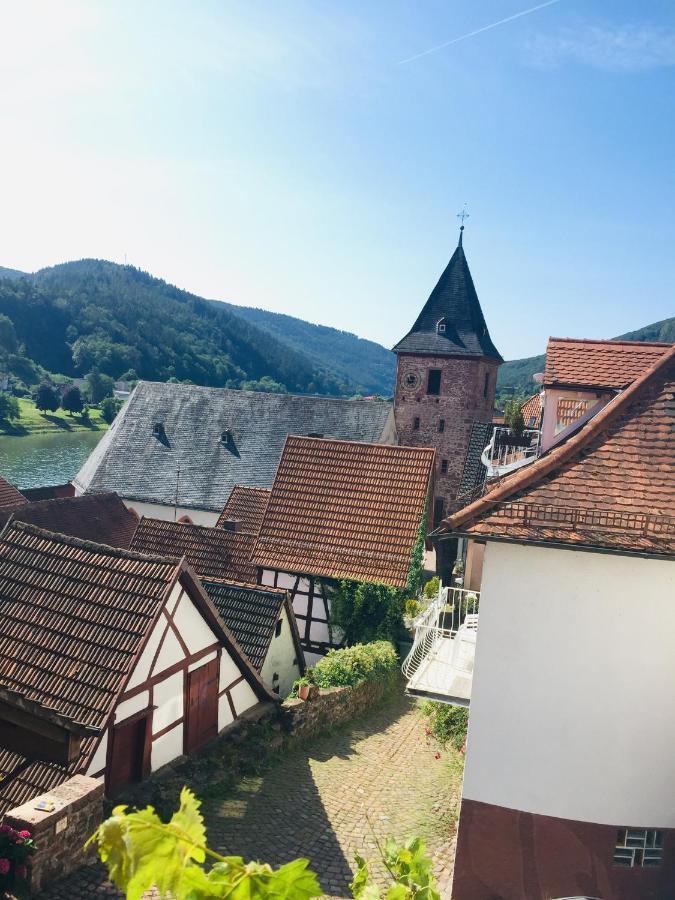 Neckarblick,Natur, Altstadt Hirschhorn Exterior foto