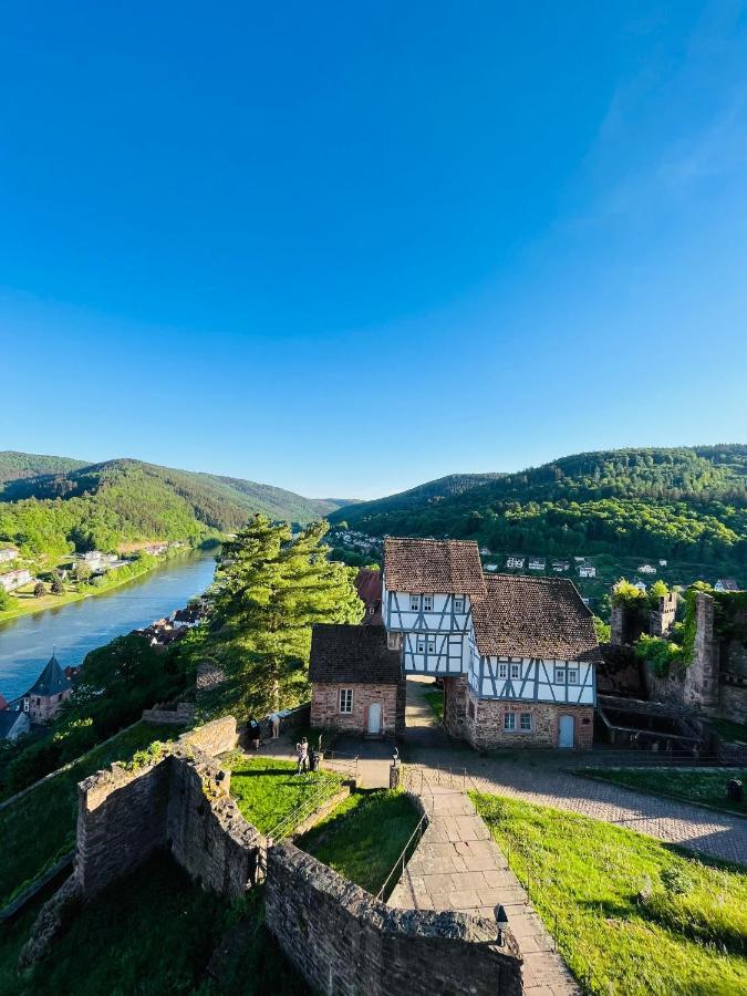 Neckarblick,Natur, Altstadt Hirschhorn Exterior foto