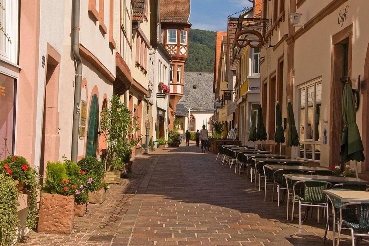 Neckarblick,Natur, Altstadt Hirschhorn Exterior foto